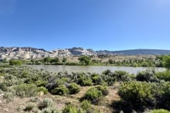 IMG_7369