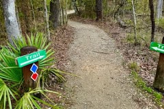 Tickfaw_State_Park_Trail.jpg