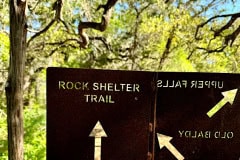 IMG_9483