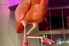 IMG_0181