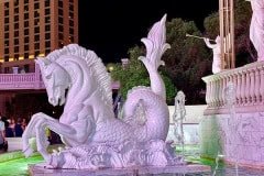 IMG_2024-05-28-113723