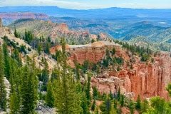 IMG_0855