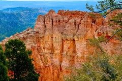 IMG_0858