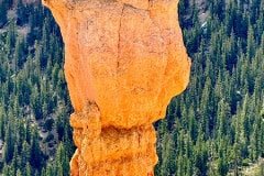IMG_0859
