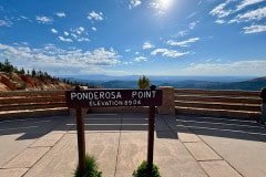 IMG_0867