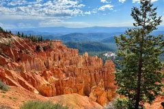 IMG_0868