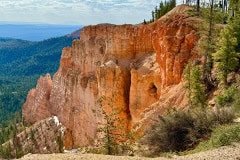 IMG_0869