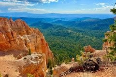 IMG_0870