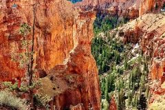 IMG_0873
