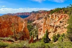 IMG_0874