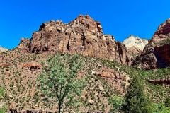 IMG_0792