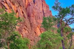 IMG_0794