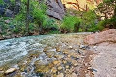 IMG_0795