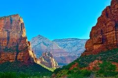 IMG_0809