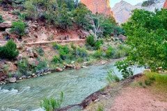 IMG_0820