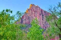 IMG_0828