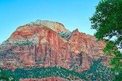 IMG_0830