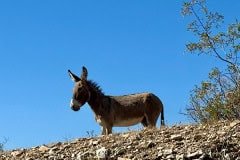 IMG_9867