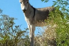 IMG_9870