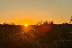 IMG_9873