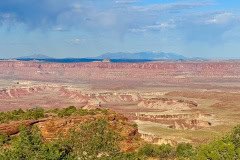 IMG_6880