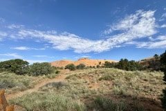 IMG_6937
