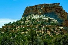 IMG_1387