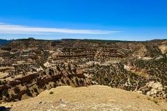 IMG_1389