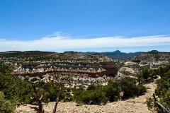 IMG_1391