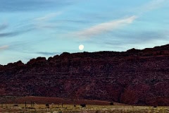 IMG_1444