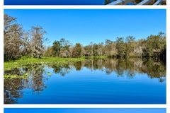 IMG_3434