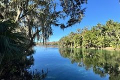 IMG_3450