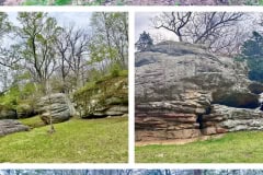 47824479-9258-408E-B373-9FCF7820F987-COLLAGE