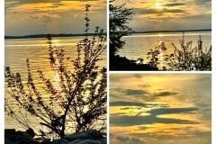 BFD538B5-9E3F-4341-BA31-FB208ED3068D-COLLAGE