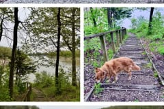 387FDDB1-620E-46E9-9FFE-A909FFC0E748-COLLAGE