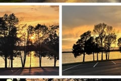 A6386680-BA3E-4A60-B844-D220DA51ECB2-COLLAGE