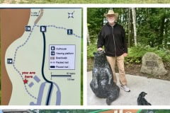 A5D7DEE7-F866-4520-9E73-E476AC855671-COLLAGE