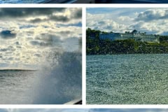 248CEB32-9B13-4166-A1E6-B2EE60E7FF3F-COLLAGE