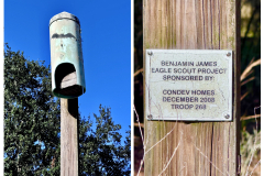 C886E8CF-848D-4043-A9B7-5DA9BCE7D3DF-COLLAGE