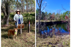 5CB494A1-7EDB-4B17-A6E3-F49F46D32AFC-COLLAGE