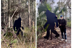 78A54F54-0ED2-4A55-BF16-D8E0DC8E53A2-COLLAGE