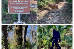 C6DC7D1F-2188-42B3-93E6-BE69BAAC7826-COLLAGE