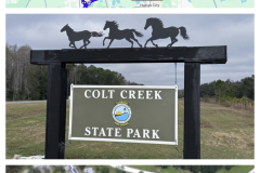 CF9F0C5A-5DD9-4A25-9864-8F99C59FBF6A-COLLAGE