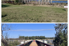 EFDF3FB5-B6EE-434C-BE35-D31CA7B07E29-COLLAGE