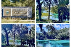 19420F7E-EB93-4089-8439-9170EEFC6EDF-COLLAGE