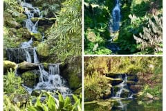 1DEAB796-B883-4E01-89BB-6343B6D34C44-COLLAGE