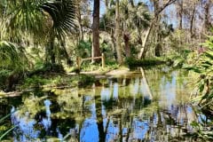 7641A6C8-A09F-4F68-BF8E-5A6F73CC32C2-COLLAGE