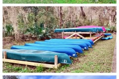 9A57B815-3368-4638-86D4-B5A9638FA59C-COLLAGE