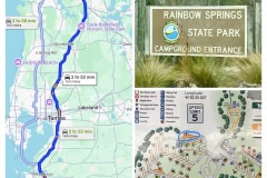 B0C7EBA8-3724-4FA2-A998-A355D713C113-COLLAGE