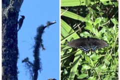 B5CE72E3-6DB1-435E-9BEE-D0D95E2D21FB-COLLAGE